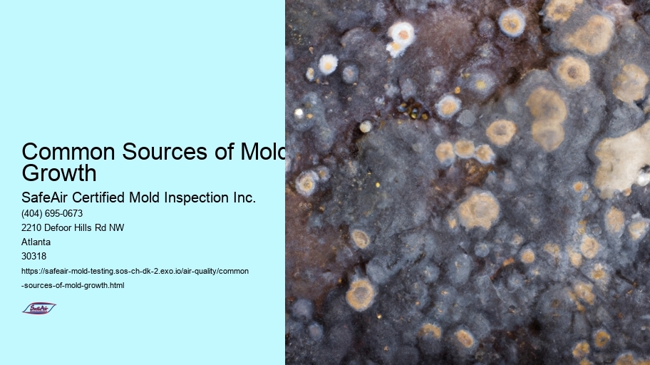 Common Sources of Mold Growth