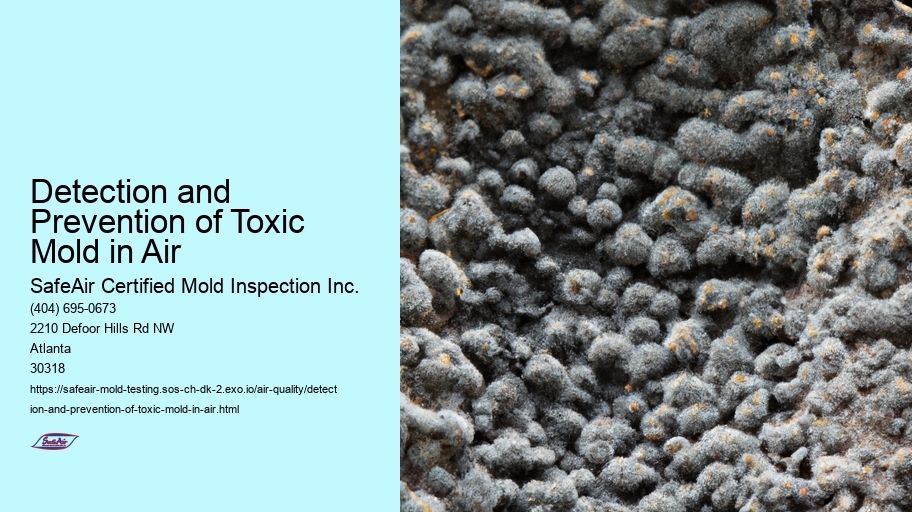 Detection and Prevention of Toxic Mold in Air