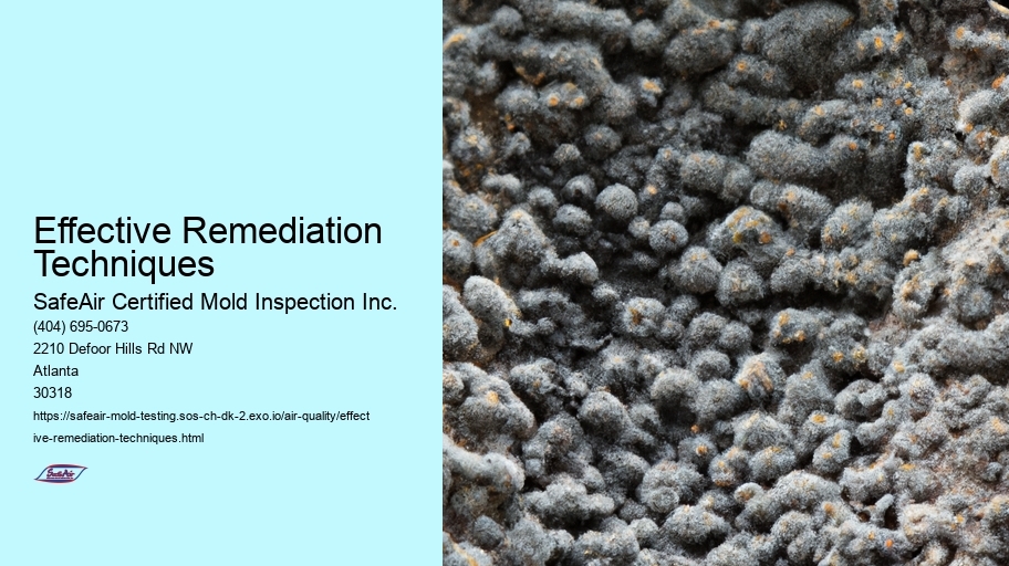 Effective Remediation Techniques