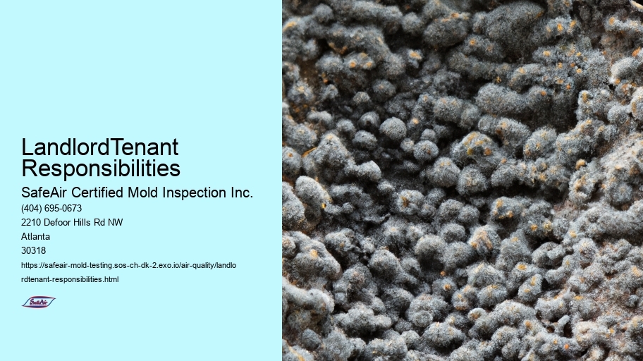 LandlordTenant Responsibilities