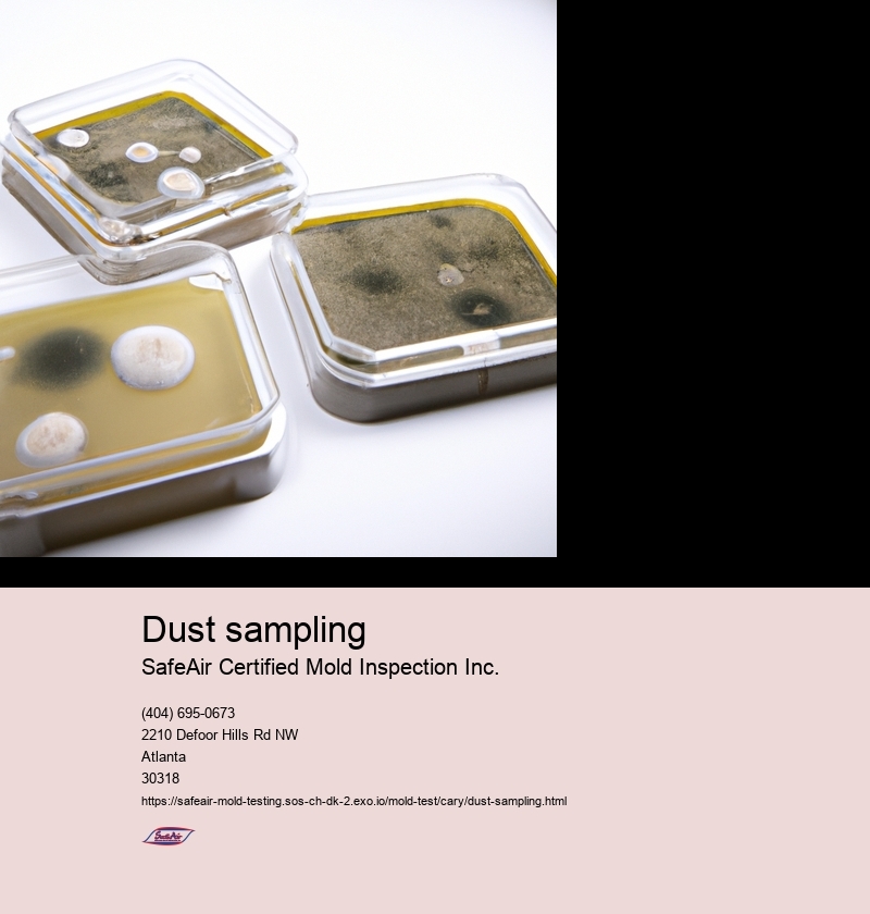 Importance of dust sampling in various industries