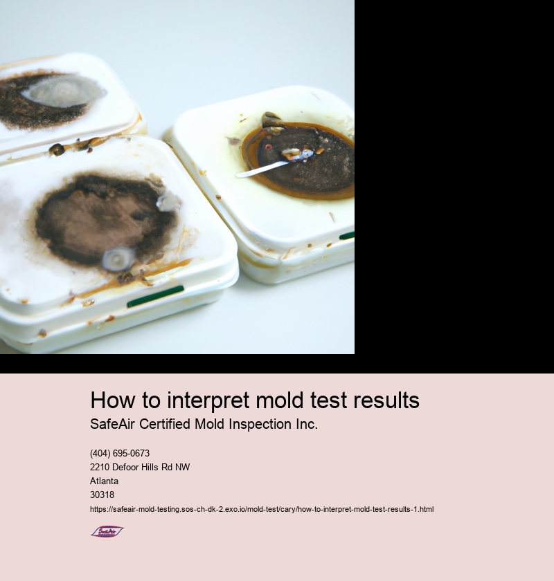 Understanding the different types of mold tests