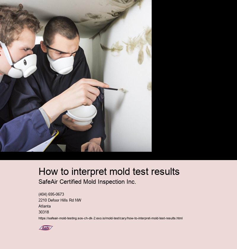 Understanding the types of mold tests available