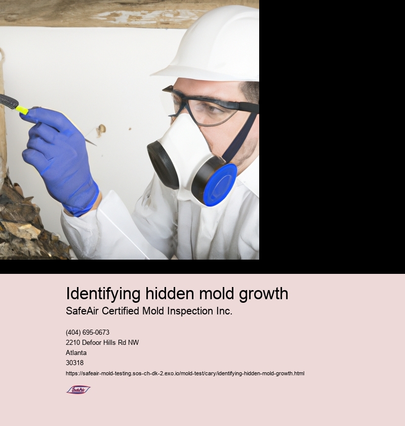 Signs of hidden mold in your home