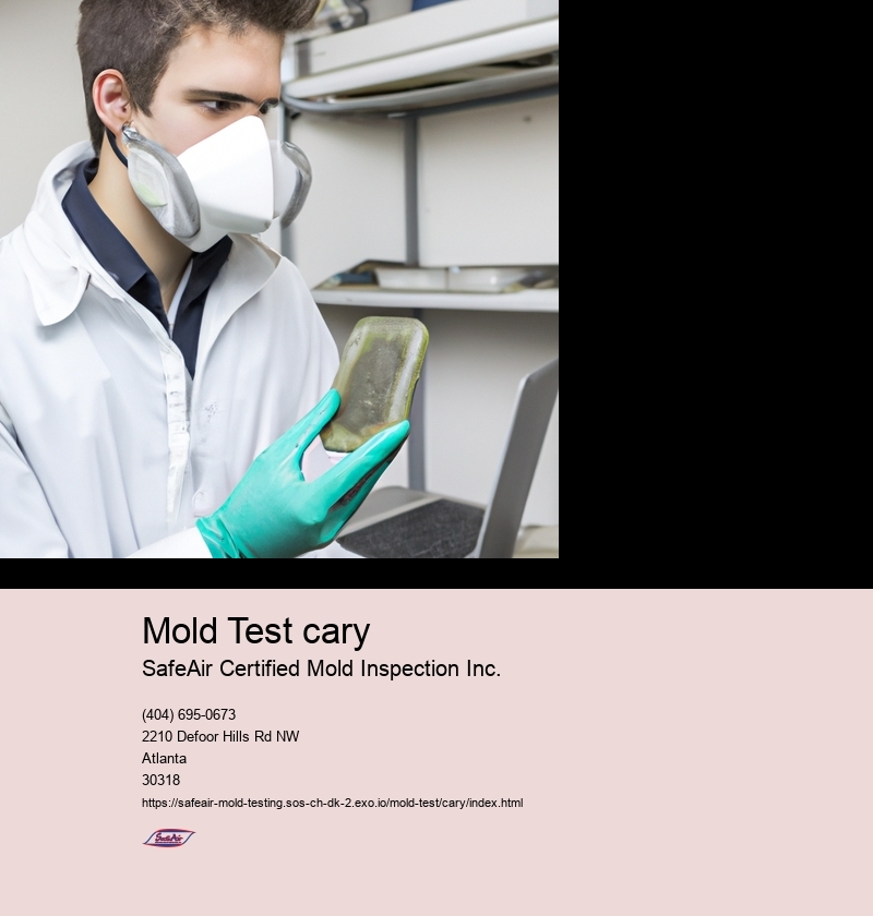 Importance of mold testing in indoor environments