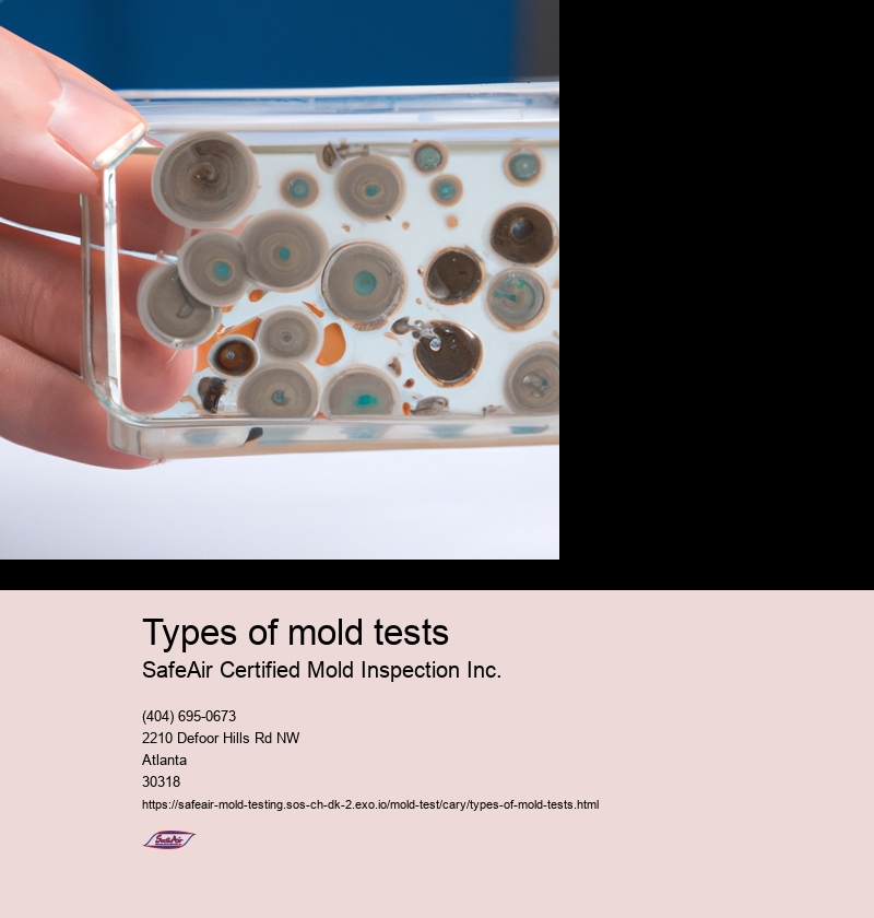 Visual inspection for mold