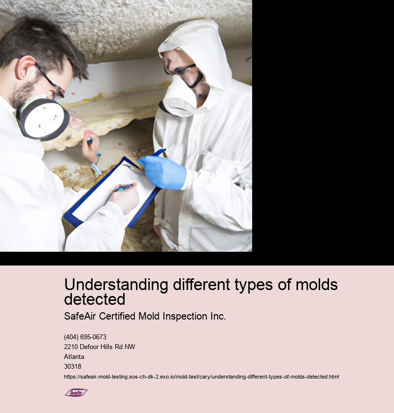 Common types of molds found indoors